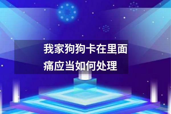 我家狗狗卡在里面痛应当如何处理