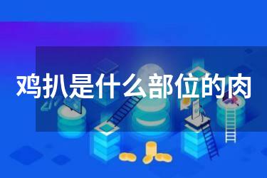 鸡扒是什么部位的肉