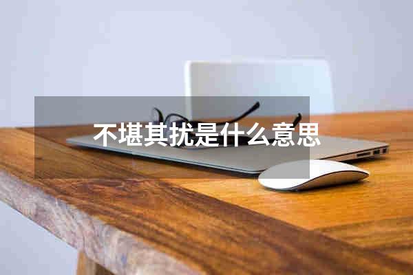 不堪其扰是什么意思