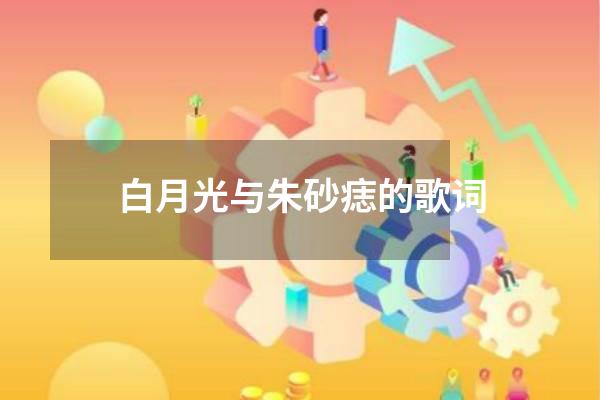 白月光与朱砂痣的歌词