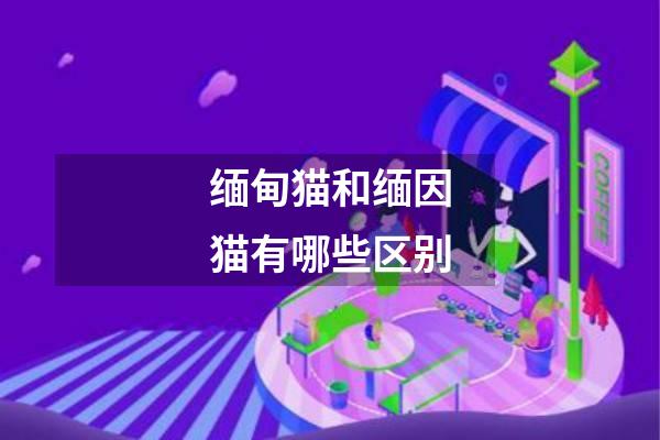 缅甸猫和缅因猫有哪些区别