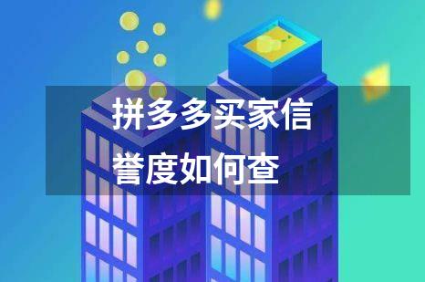 拼多多买家信誉度如何查