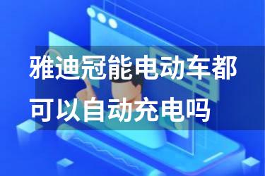 雅迪冠能电动车都可以自动充电吗