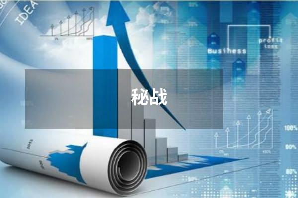 秘战