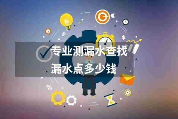 专业测漏水查找漏水点多少钱