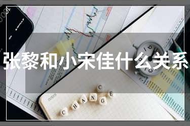 张黎和小宋佳什么关系