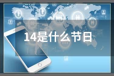 14是什么节日