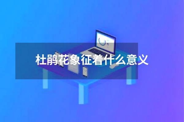 杜鹃花象征着什么意义