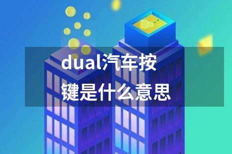 dual汽车按键是什么意思