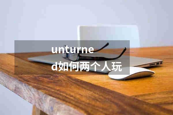 unturned如何两个人玩
