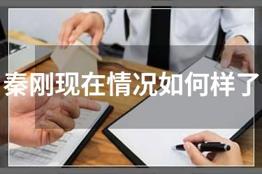 秦刚现在情况如何样了