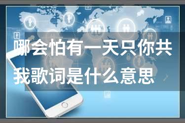哪会怕有一天只你共我歌词是什么意思
