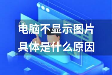 电脑不显示图片具体是什么原因