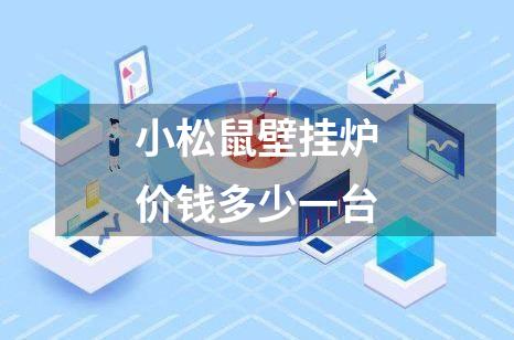 小松鼠壁挂炉价钱多少一台