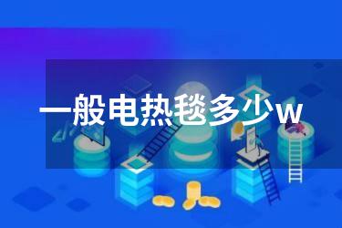 一般电热毯多少w