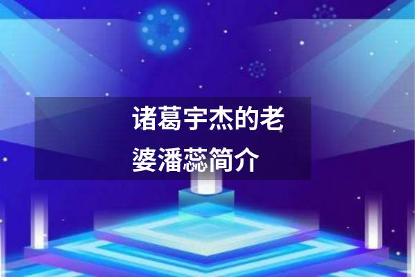 诸葛宇杰的老婆潘蕊简介