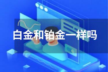 白金和铂金一样吗
