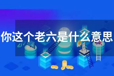 你这个老六是什么意思