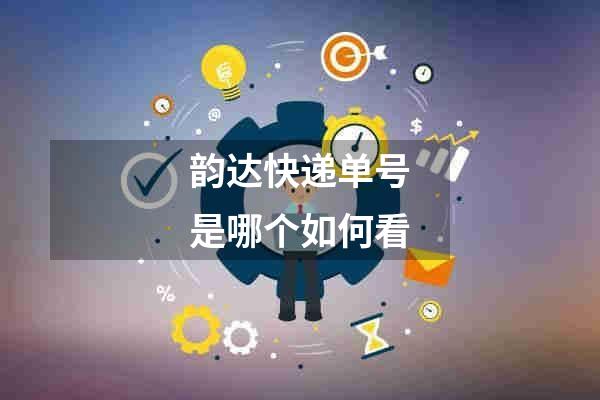 韵达快递单号是哪个如何看