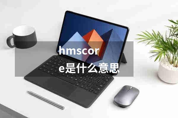 hmscore是什么意思