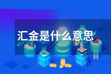 汇金是什么意思