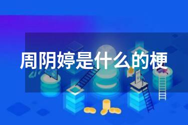 周阴婷是什么的梗