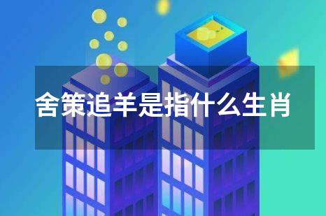 舍策追羊是指什么生肖