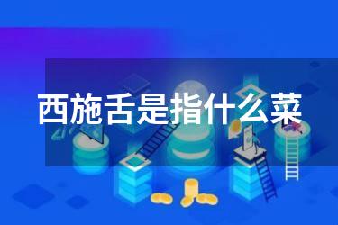 西施舌是指什么菜