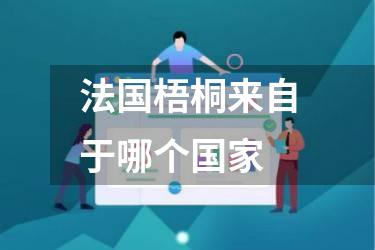 法国梧桐来自于哪个国家