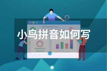 小鸟拼音如何写
