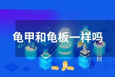 龟甲和龟板一样吗