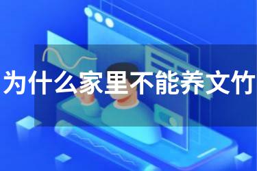 为什么家里不能养文竹