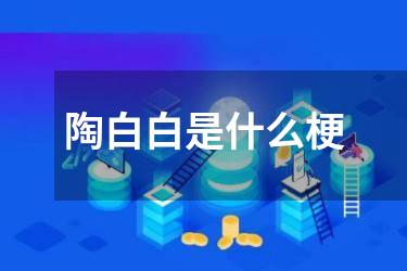 陶白白是什么梗