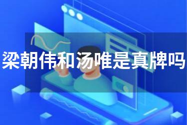 梁朝伟和汤唯是真牌吗