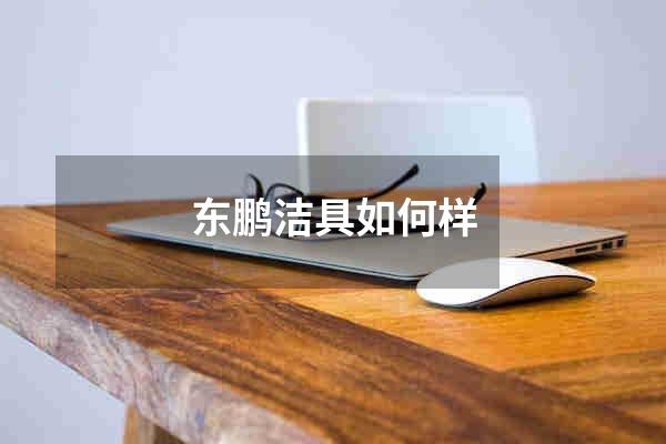 东鹏洁具如何样