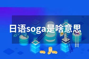 日语soga是啥意思