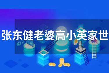 张东健老婆高小英家世