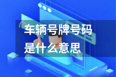 车辆号牌号码是什么意思