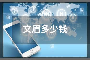 文眉多少钱