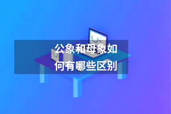 公象和母象如何有哪些区别