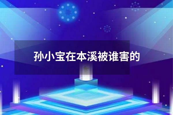 孙小宝在本溪被谁害的