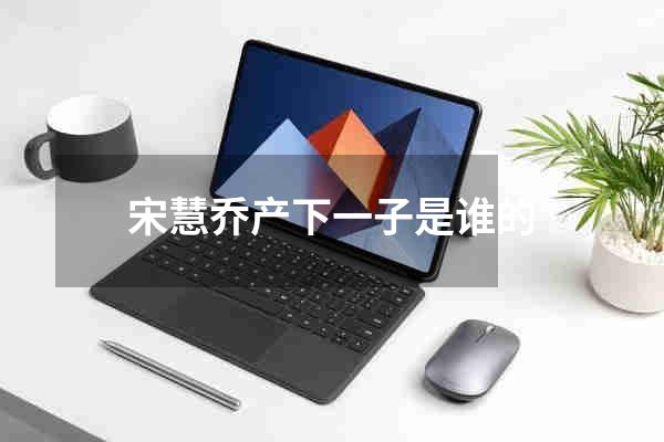 宋慧乔产下一子是谁的
