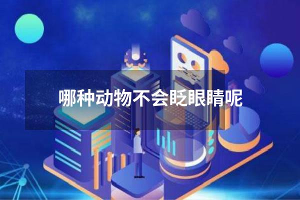 哪种动物不会眨眼睛呢