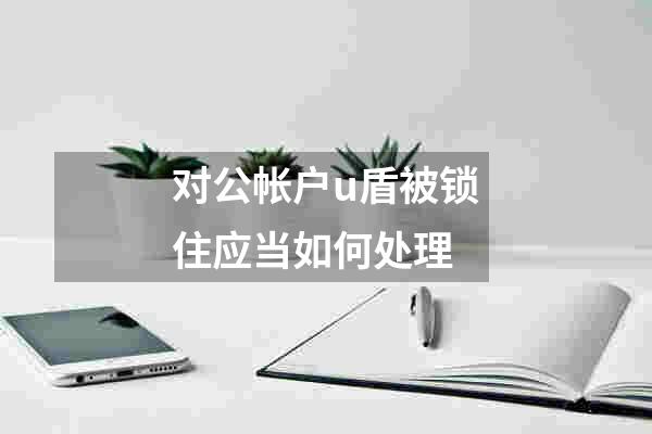 对公帐户u盾被锁住应当如何处理