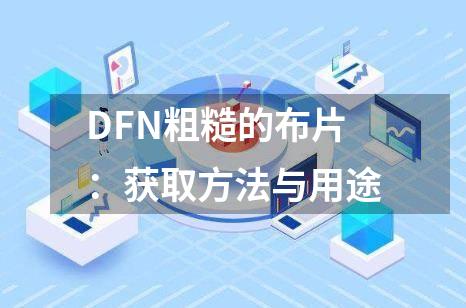 DFN粗糙的布片：获取方法与用途