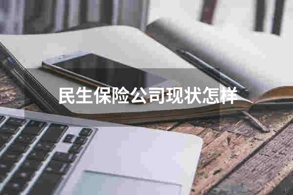 民生保险公司现状怎样