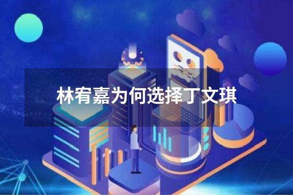 林宥嘉为何选择丁文琪