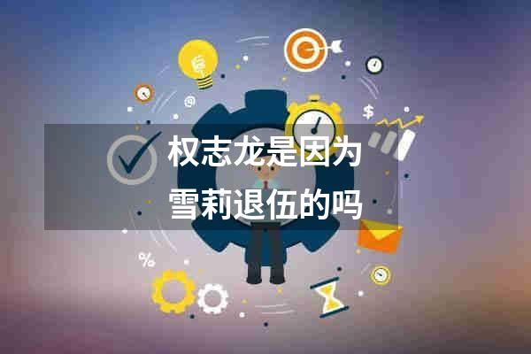 权志龙是因为雪莉退伍的吗