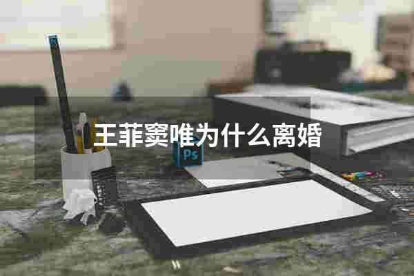 王菲窦唯为什么离婚