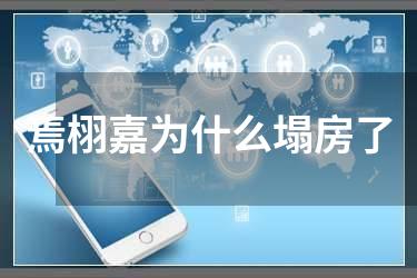 焉栩嘉为什么塌房了